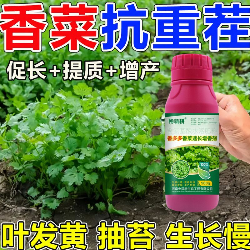 香菜专用叶面肥正品提苗