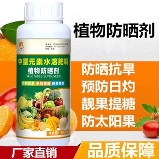 果树防晒剂防灼专用剂柑橘辣椒日灼病药葡萄番茄火龙果植物抗晒素