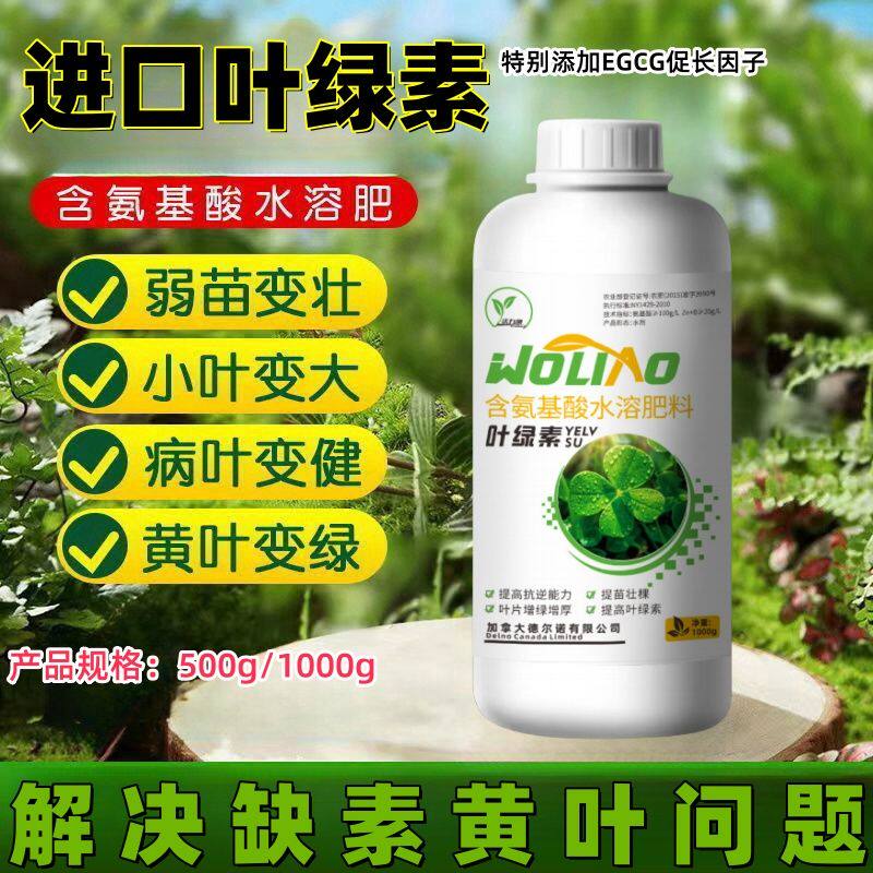 正品进口叶绿素农用叶面