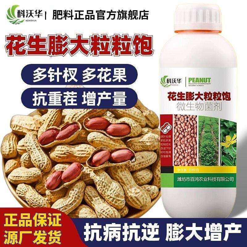 科沃华花生粒粒饱快速膨