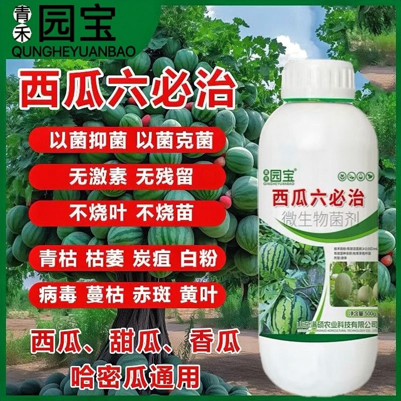 西瓜六必治壮苗防死苗蔓