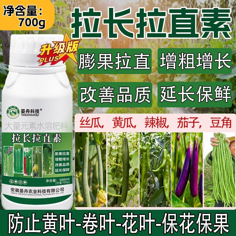 辣椒丝瓜西葫芦进口黄瓜