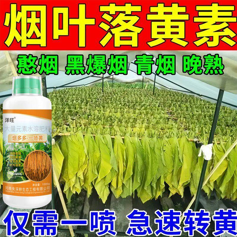 烟叶落黄素绿叶催黄一喷