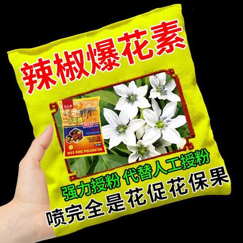 辣椒催花授粉座果精强效