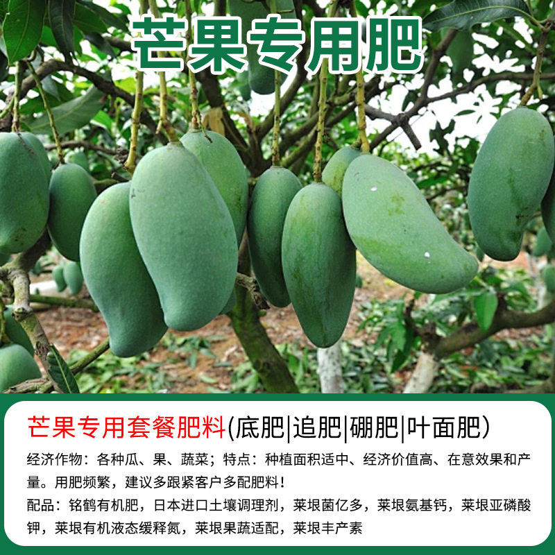 芒果专用有机复合肥底肥追肥