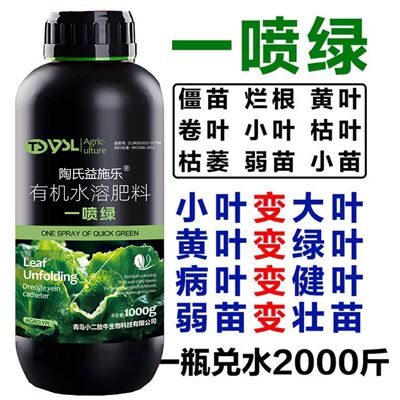 正品黄叶一喷绿叶面肥蔬