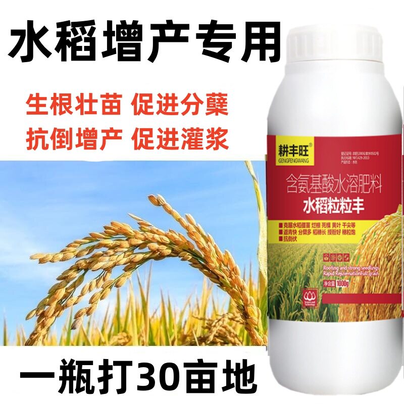 水稻专用增产素叶面肥稻黄金