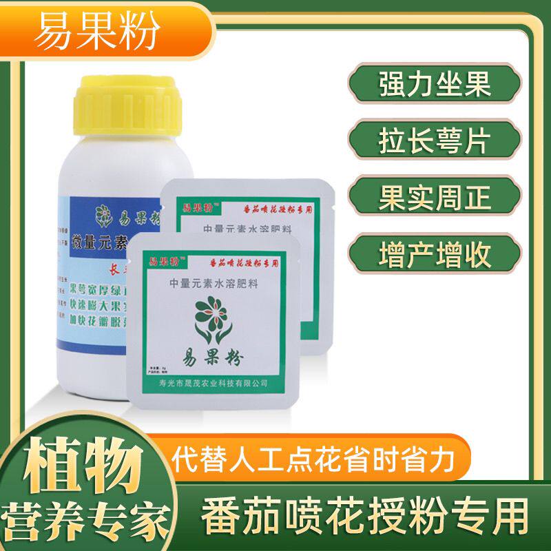 易果粉西红柿番茄喷花花