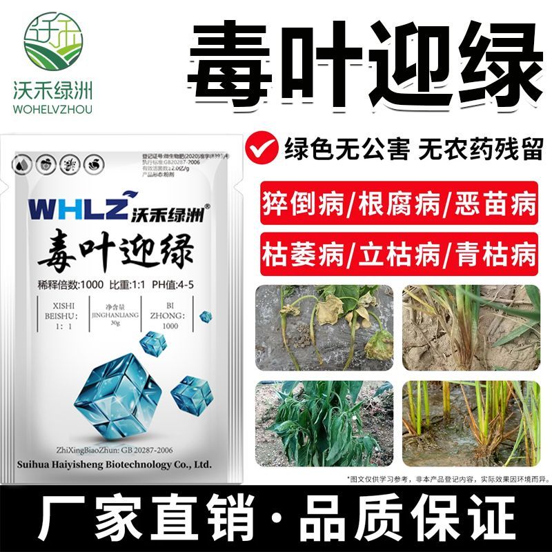 毒叶迎绿病专用辣椒黄瓜
