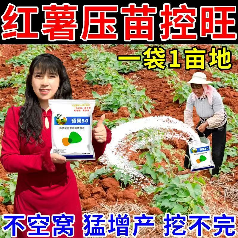 红薯控旺剂矮壮素只长不