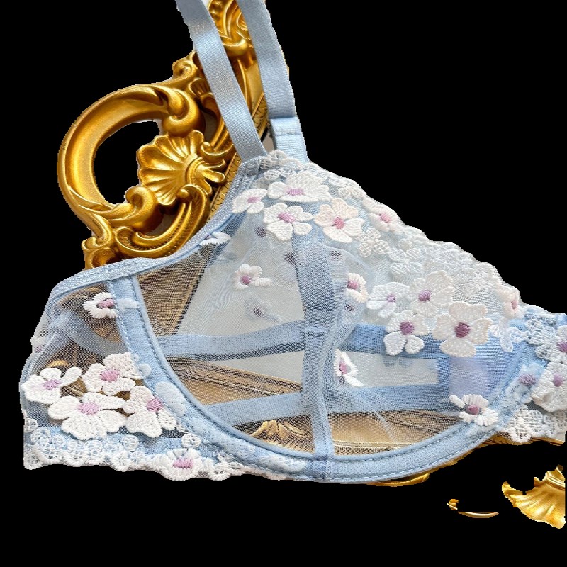 Screen perspective gather underwear set甜美印花刺绣网纱内衣