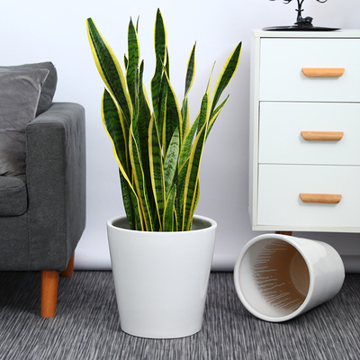 陶瓷花盆家用大号白色高级客厅花瓶绿植发财树金钱树虎皮兰专用盆
