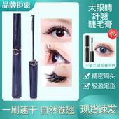 卡姿兰大眼睛纤翘睫毛膏正品 不晕染一刷速干自然浓密卷翘精细刷头