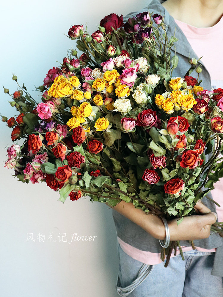 蔷薇干花价格 蔷薇干花图片 星期三