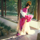 粉黑丝绒烫金簪花仕女图 冬款 琴挑五代 凤凰台