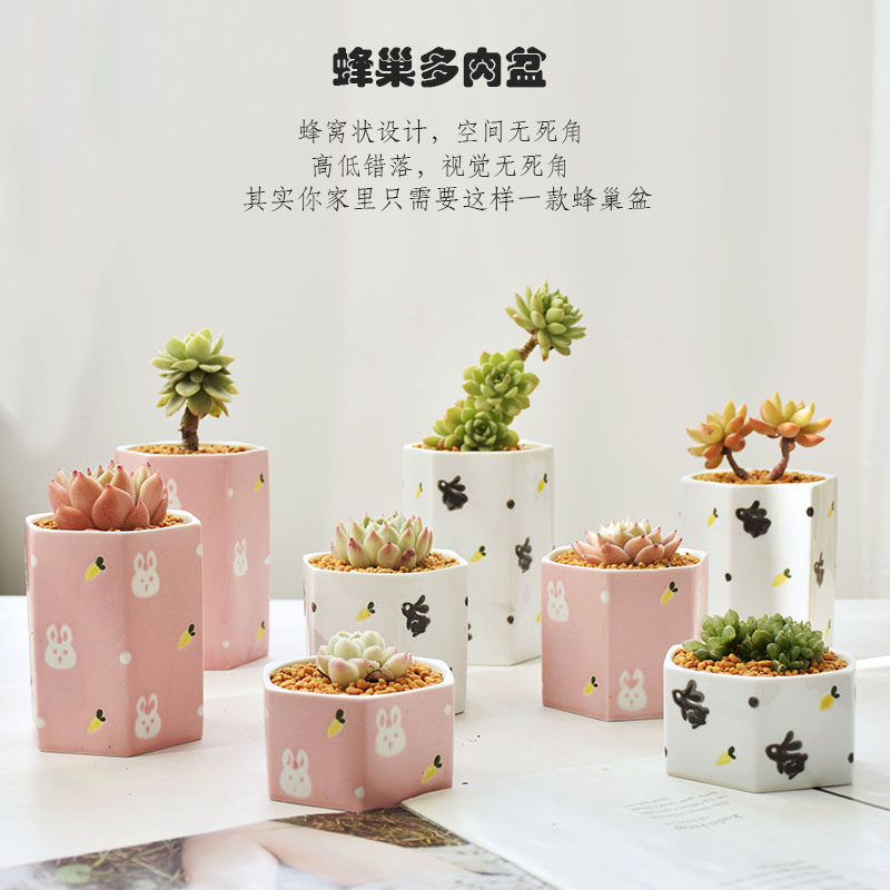 六边形蜂窝陶瓷手绘清新动物图案多肉植物花盆套装空间利用无死角