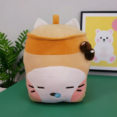 NCT WISH 划愿周边快闪yushi 得能勇志 sion 吴是温 riku抱枕龙猫