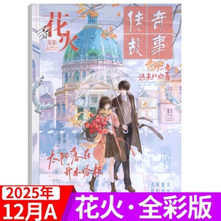 2025年12月AB 青春文学 夏七夕主编言情小说文学期刊 非校园版 全彩版 花火杂志 2025年1 12月AB