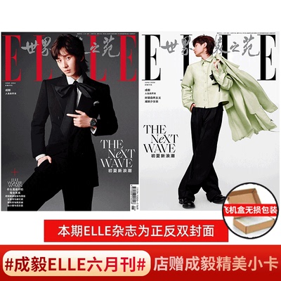 ELLE2024年6月成毅封面