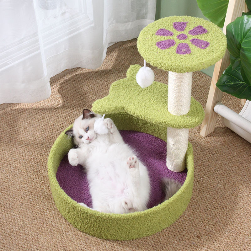 邓氏猫爬架子小型猫爬架