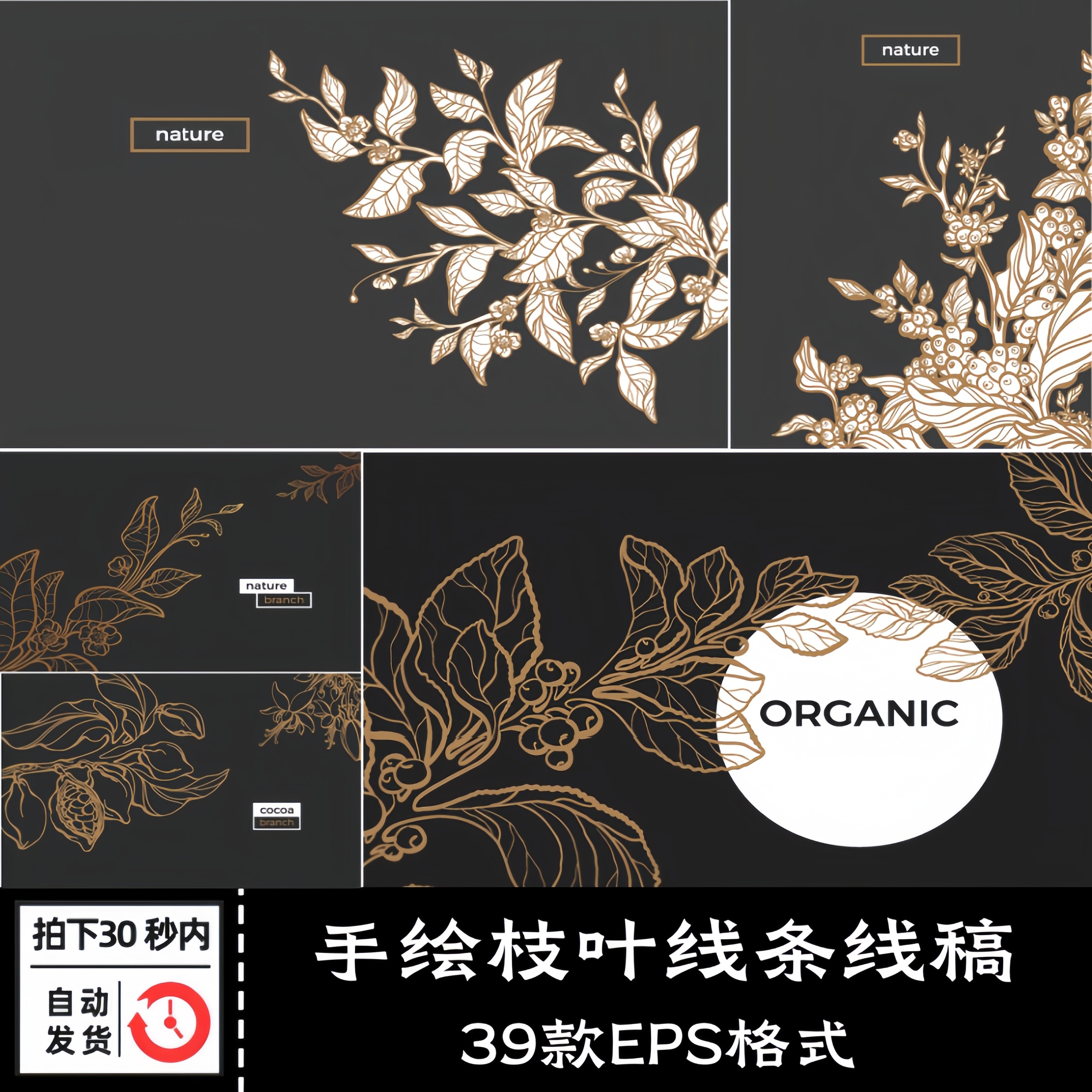 手绘线稿抹茶叶可可豆果叶花咖啡枝叶线条印花插画矢量AI设计素材