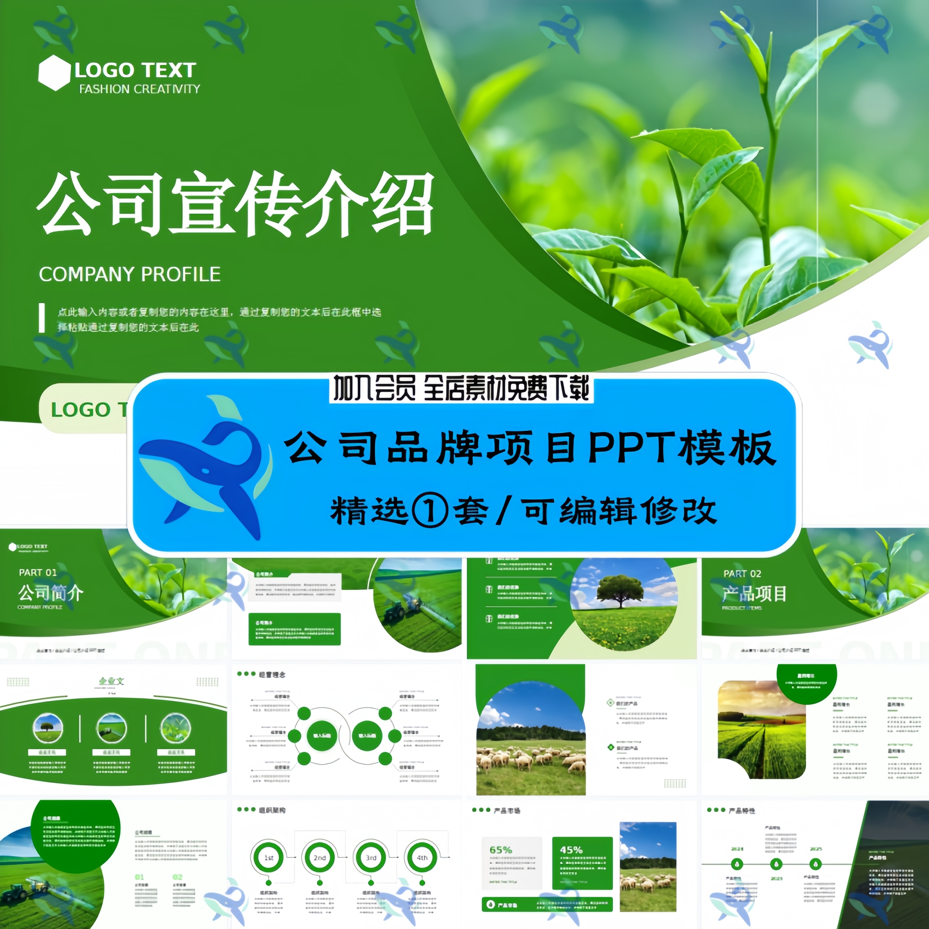 绿色简约大气农业项目招商公司简介品牌介绍商业计划书PPT模板