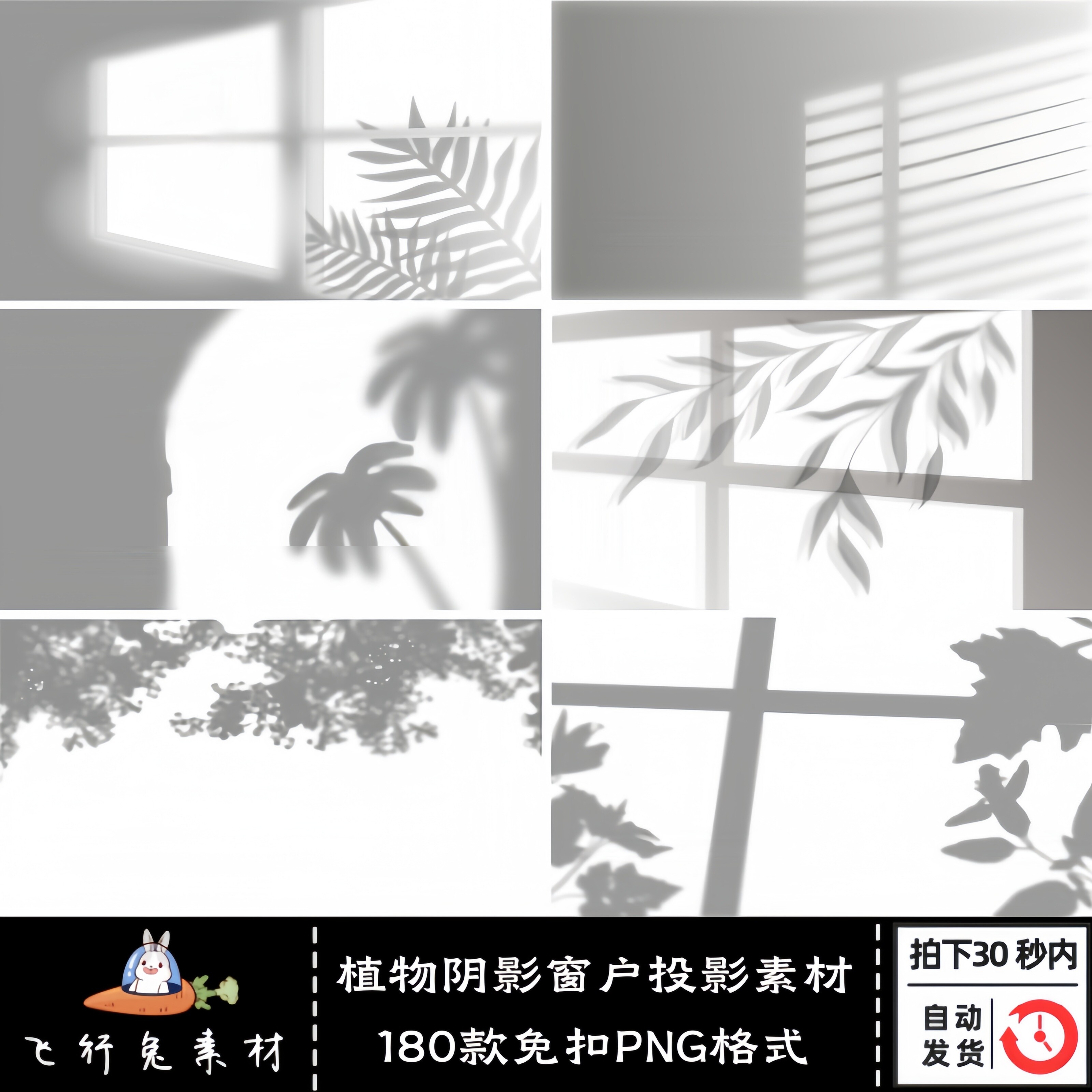 180款植物树叶阴影窗户投影光影透明免扣png图片插画平面设计素材