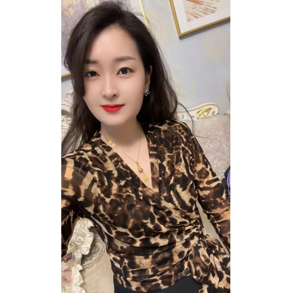 时髦女人味豹纹V领网纱长袖t恤女