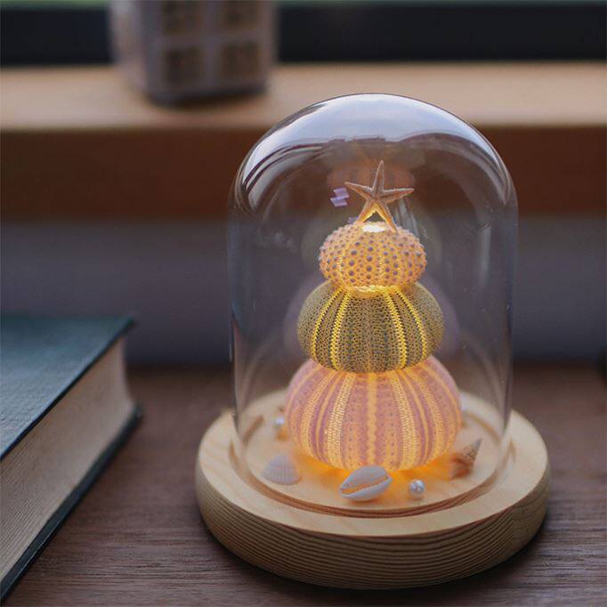 海胆壳发光小夜灯暖光小夜灯常亮感性夜灯小夜灯充电款可移动微亮