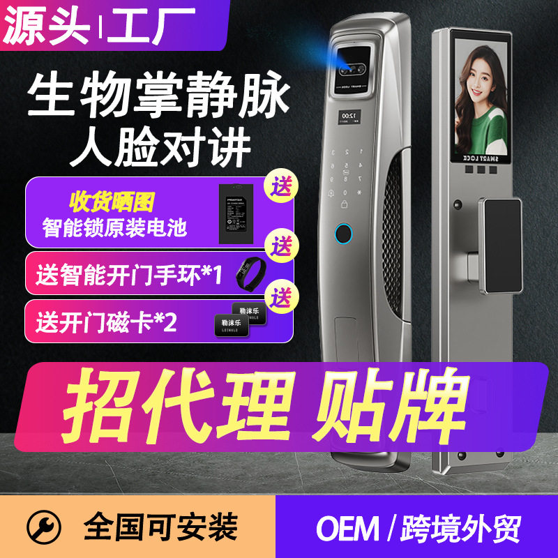 入户门门锁指纹锁涂鸦家用密码锁人脸锁美式厂家指纹解锁可视猫眼