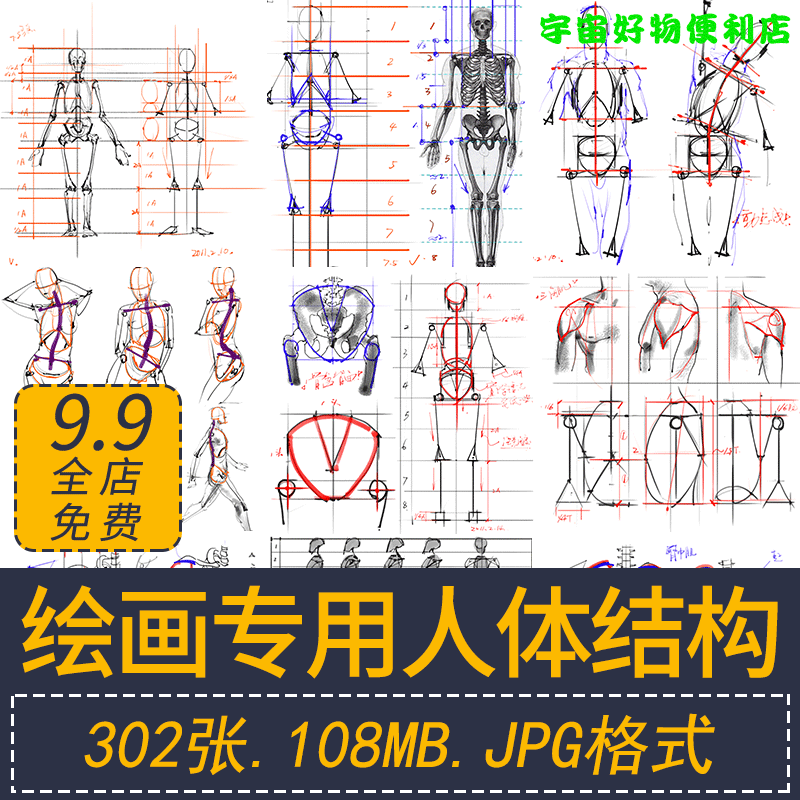 绘画专用人体结构解剖系列漫画手稿素材动态肌肉表现基础学习资料