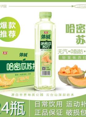栗子园体碱苏打水蜜桃味哈密瓜荔枝柠檬味风果味饮料混合口味整箱