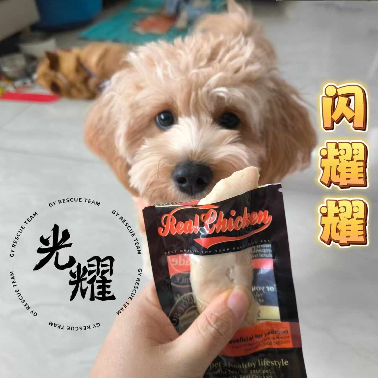 宠物零食蒸煮鸡小胸40g*10小包 宠物猫咪狗狗零食湿粮包