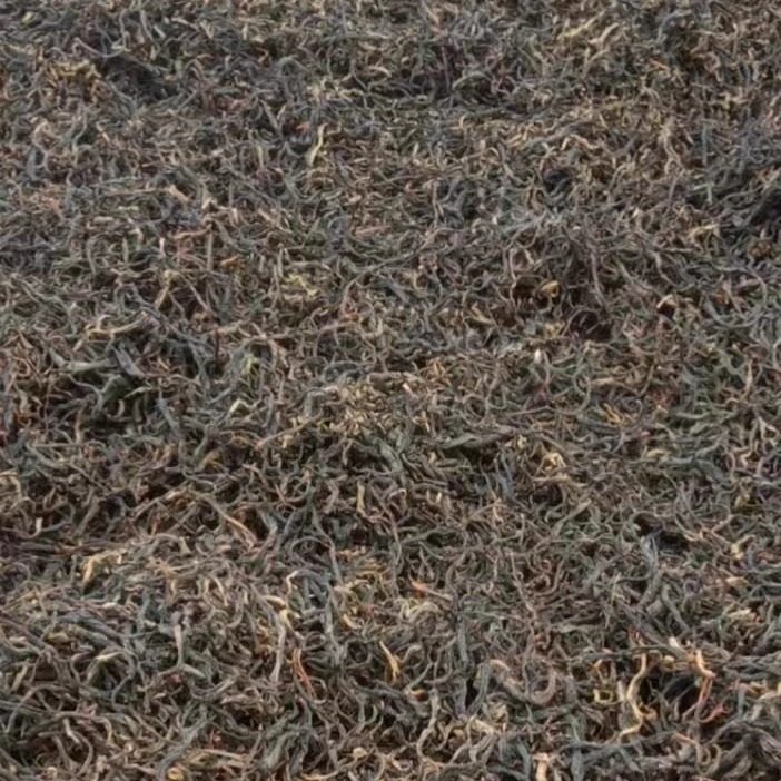 晒红茶叶云南红茶2025年头春茶临沧南箐河500g高山晒红散茶