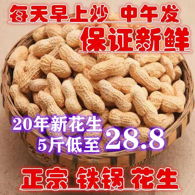 新鲜原味炒熟带壳花生种子
