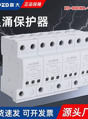 SPD浪涌保护器电涌保护器大电流防雷模块防雷器4P80kA100kA120kA