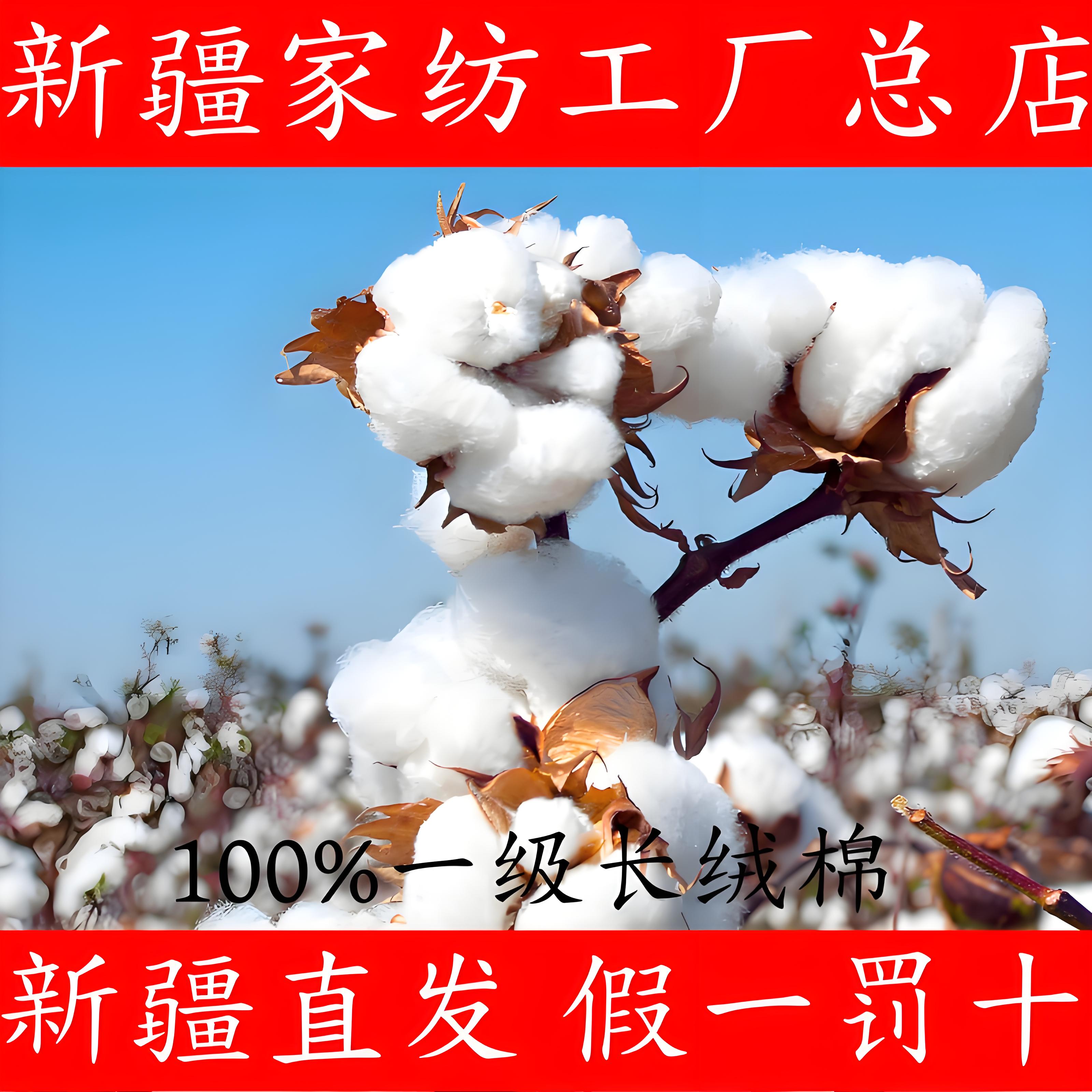 新疆棉被纯棉花床垫棉絮加厚垫被保暖长绒棉手工被