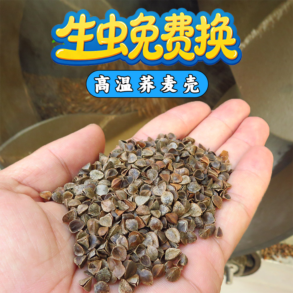 荞麦壳95壳甜荞麦壳枕头枕芯散装纯荞麦壳儿童荞麦壳枕头洗荞麦皮