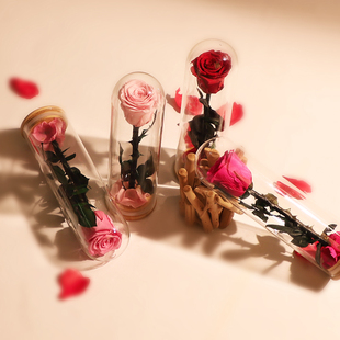 永生花礼盒小王子玫瑰花玻璃罩送女友老婆生日老师教师节礼物摆件