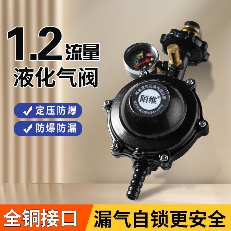 液化气罐安全阀煤气罐防爆家用新国标1.2火力安全阀减压阀自动液