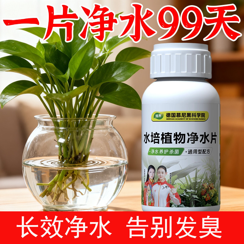 植界水培植物净水片除臭杀菌消毒鲜花花卉保鲜剂除藻专用净化水质