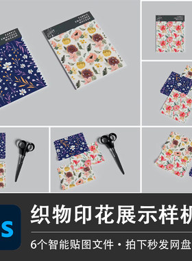 皮革布料织物丝绸绒布刺绣样机模型智能贴图效果PSD服装设计素材