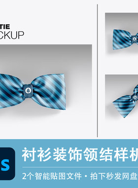 衬衫领带领结蝴蝶结装饰样机模型VI智能贴图效果PSD服装设计素材