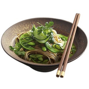 不饰 复古田园拌面凉皮碗特色粥碗日本粗陶碗民宿餐具土黄色菜碗