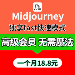 Midjourney会员共享独享充值代充MJ高级会员mjdjourney国内账号V5