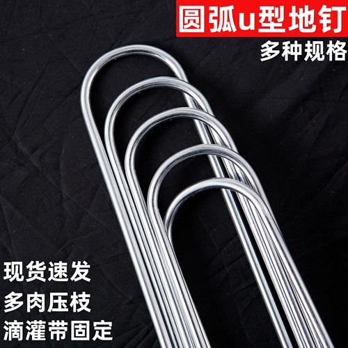 多肉月季压枝圆弧形U型地钉