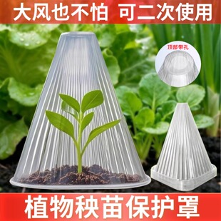 幼苗育苗保护罩大号免受霜冻育苗瓜苗菜苗秧苗防虫防鸟保护罩