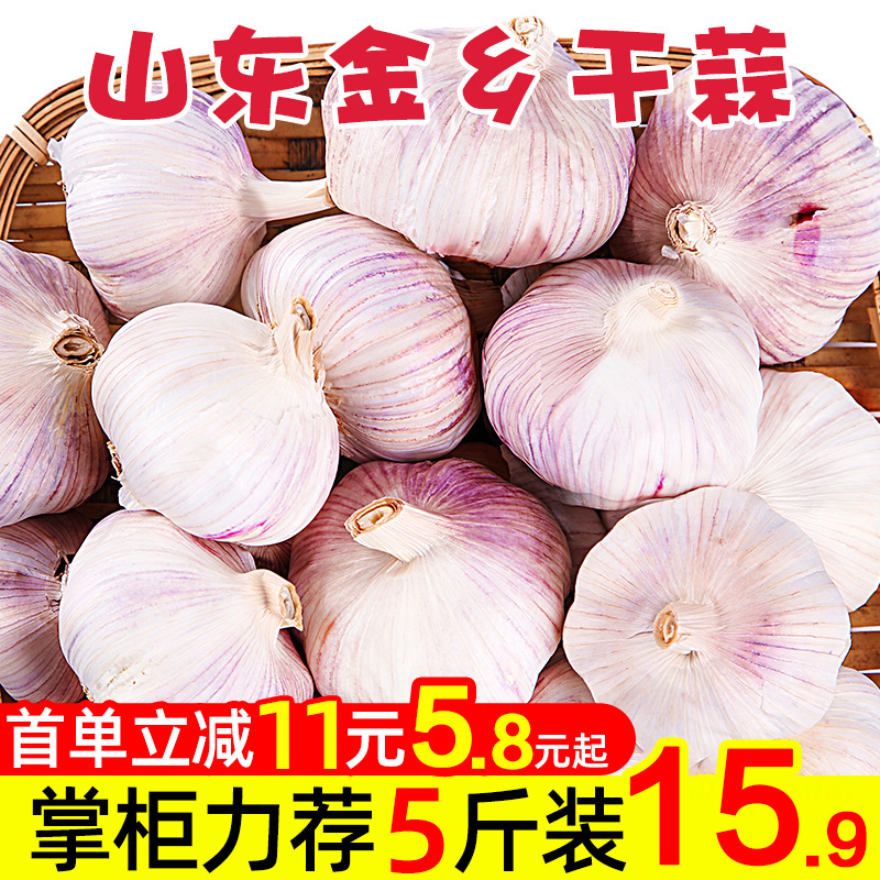 山东大蒜2020新干大蒜头5斤独头蒜紫红皮大蒜种籽干蒜10斤装白皮