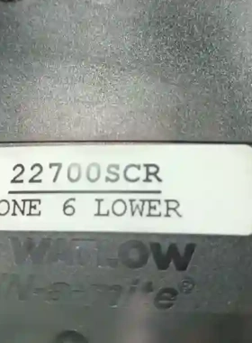 WATLOW DIN-A-MITE 22700SCR Z议价