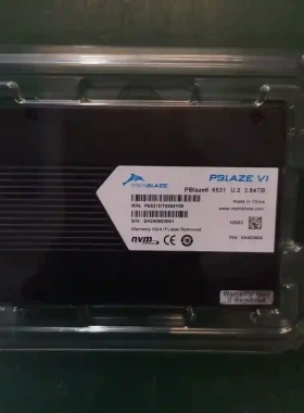 小海豚PBlaze6 6531 3.84T U.2固态硬议价